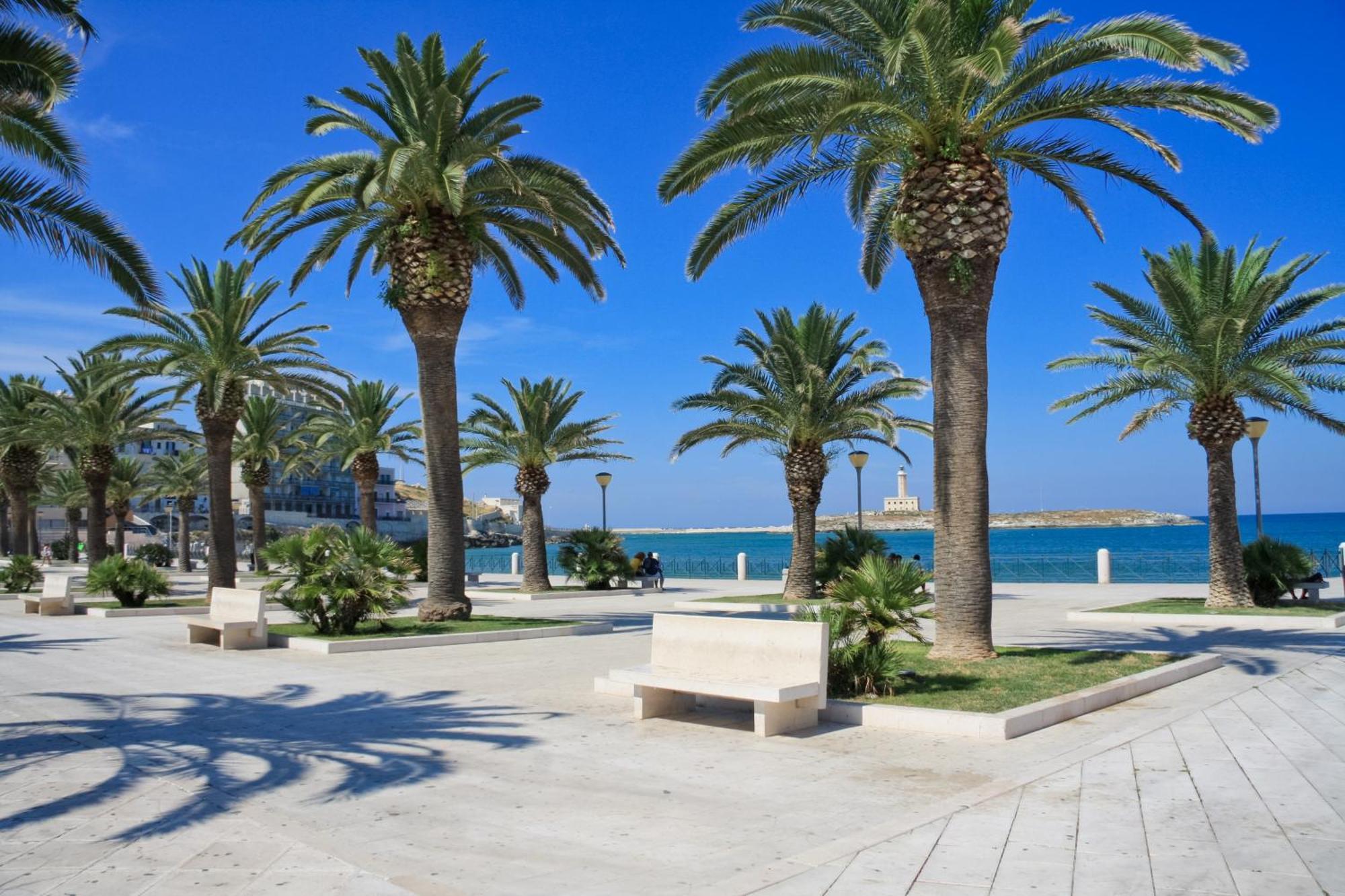 Casa Vacanza Vieste In Centro - Maison Del Borgo Exteriér fotografie